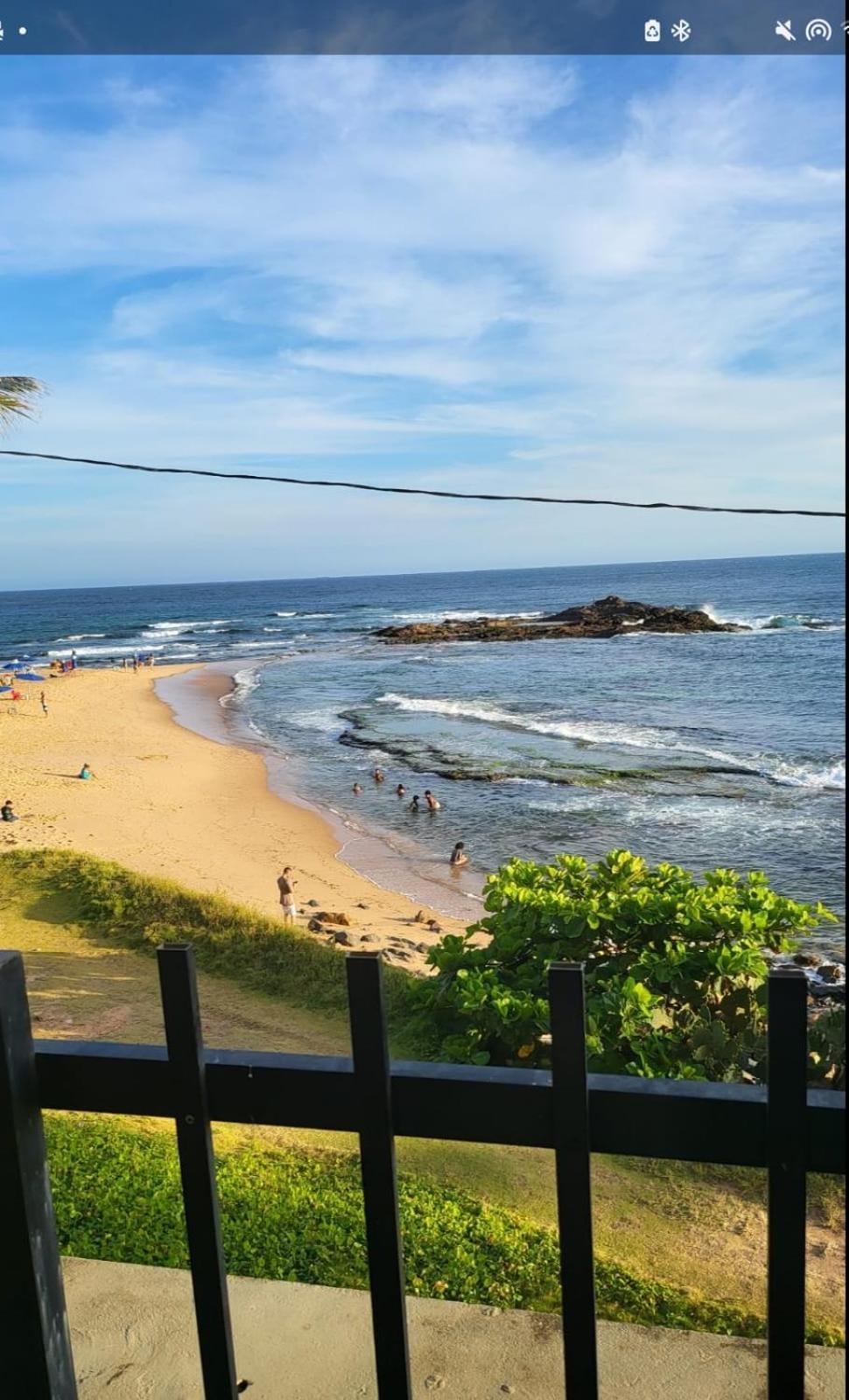 Ondina Salvador